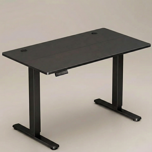 Compact Electric Adjustable Height Standing Desk
