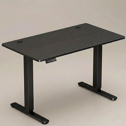 Compact Electric Adjustable Height Standing Desk