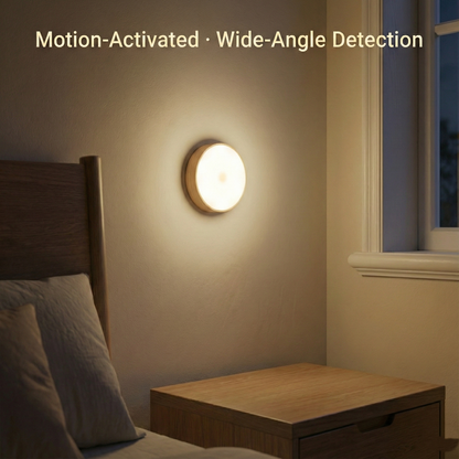 Motion Sensor Light