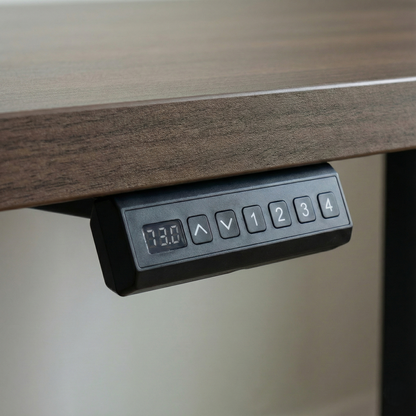 Compact Electric Adjustable Height Standing Desk